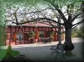 g�te en alsace au coeur des vignes alsaciennes