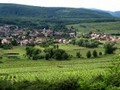 gite au coeur des vignobles alsaciens